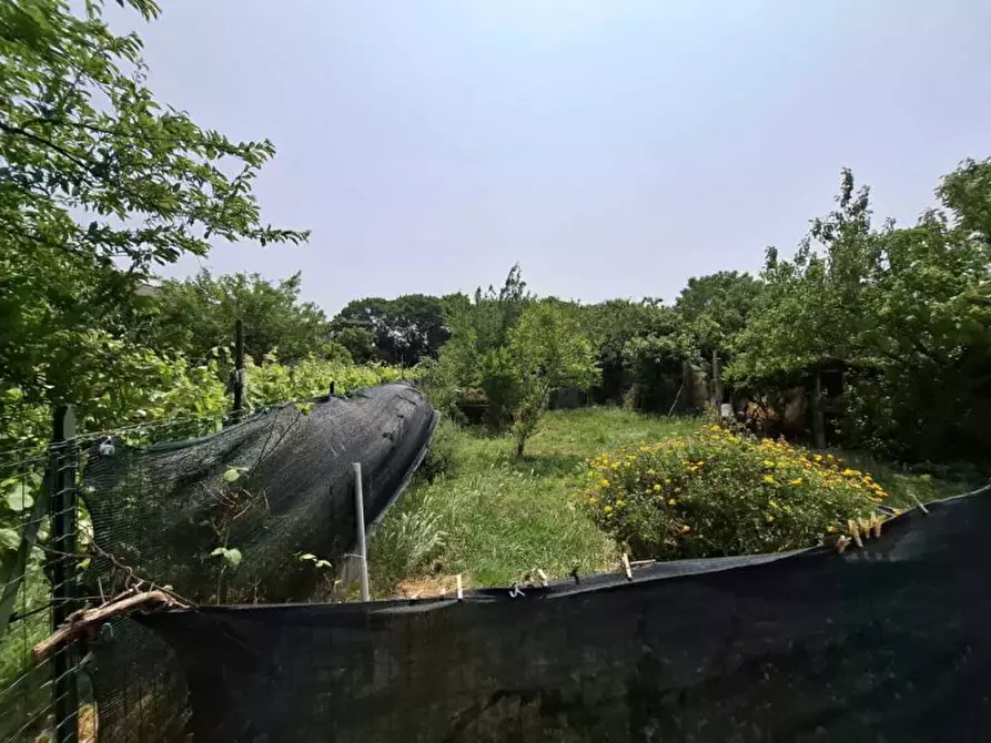 Immagine 3 di Appartamento in vendita  in Via Angelo Messedaglia a Villafranca Di Verona