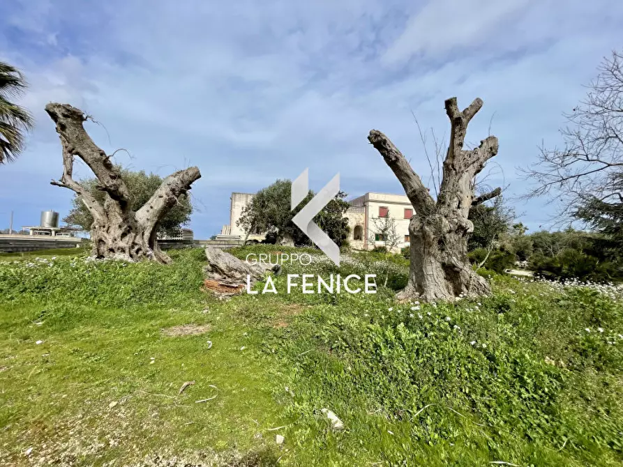 Immagine 5 di Rustico / casale in vendita  in c.da monte ilario a Martina Franca