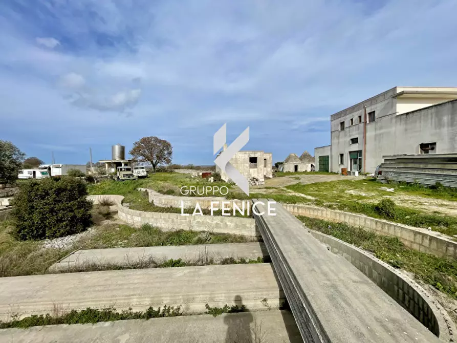 Immagine 9 di Rustico / casale in vendita  in c.da monte ilario a Martina Franca