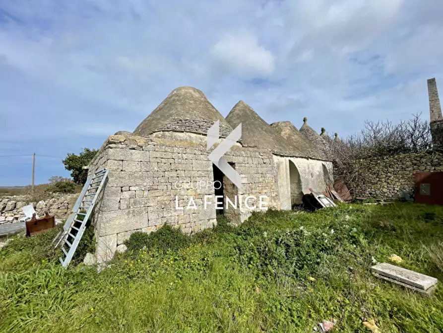 Immagine 25 di Rustico / casale in vendita  in c.da monte ilario a Martina Franca