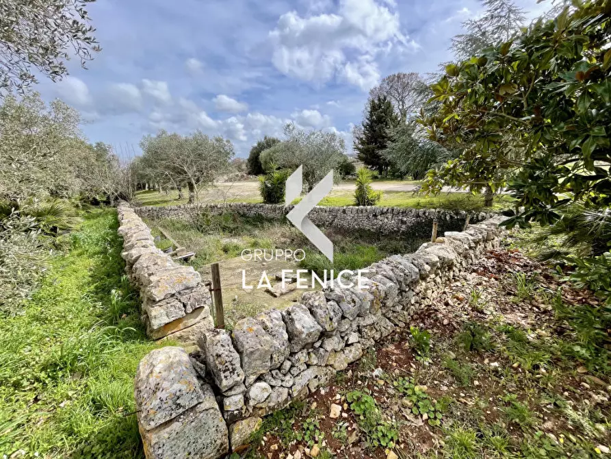 Immagine 46 di Rustico / casale in vendita  in c.da monte ilario a Martina Franca