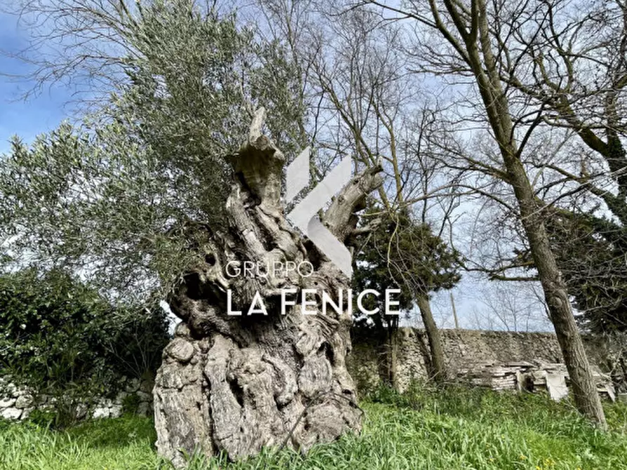 Immagine 120 di Rustico / casale in vendita  in c.da monte ilario a Martina Franca