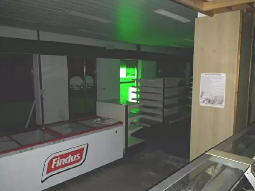 Immagine 21 di Palazzo in vendita  in Via Nuova a Fonzaso