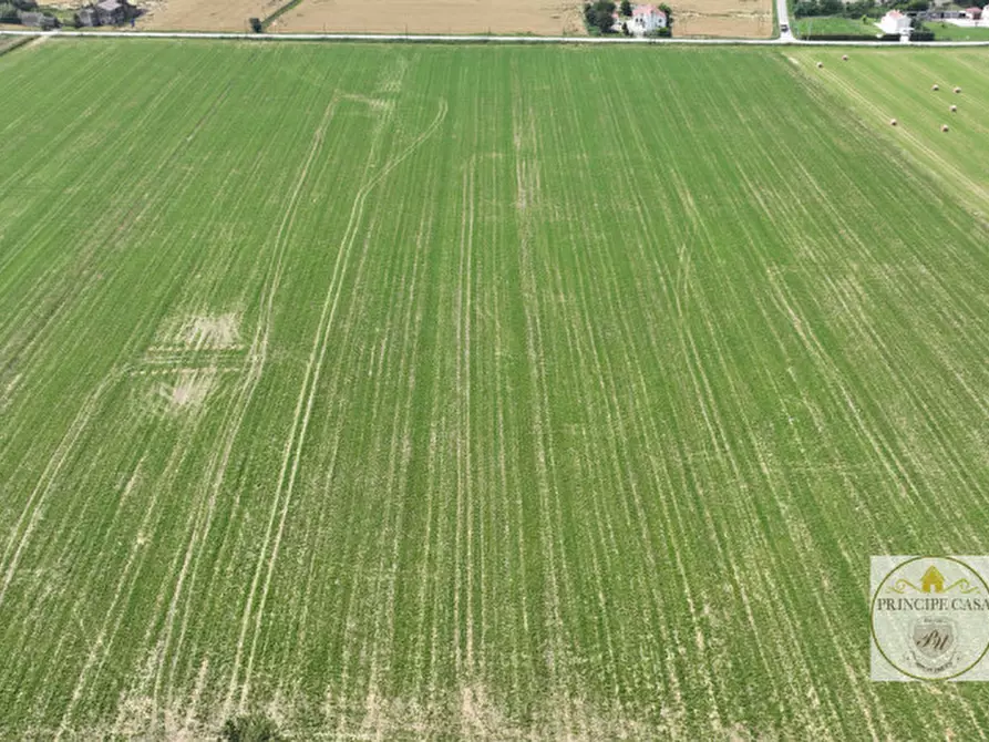 Immagine 2 di Terreno in vendita  a Este