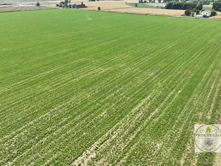 Immagine 3 di Terreno in vendita  a Este