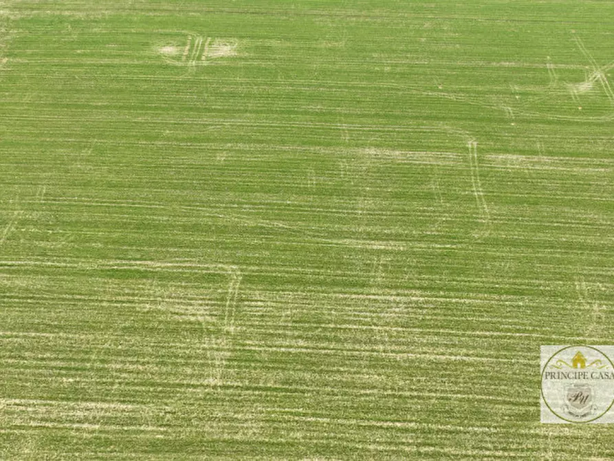 Immagine 4 di Terreno in vendita  a Este