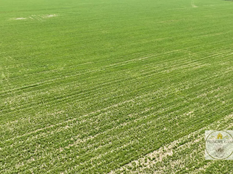 Immagine 5 di Terreno in vendita  a Este