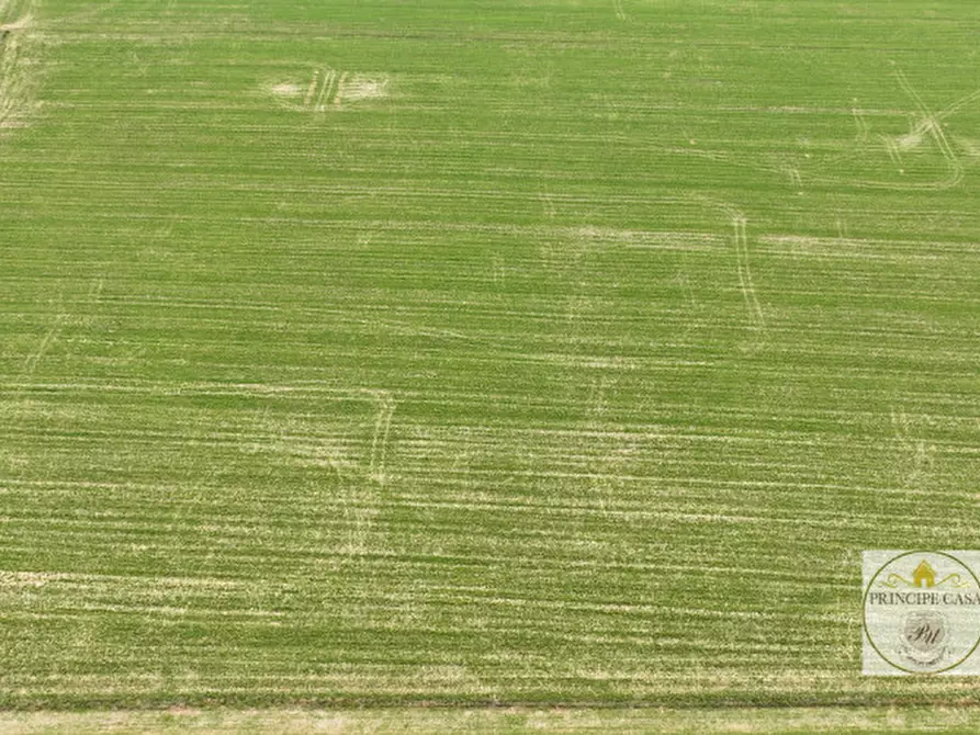 Immagine 6 di Terreno in vendita  a Este