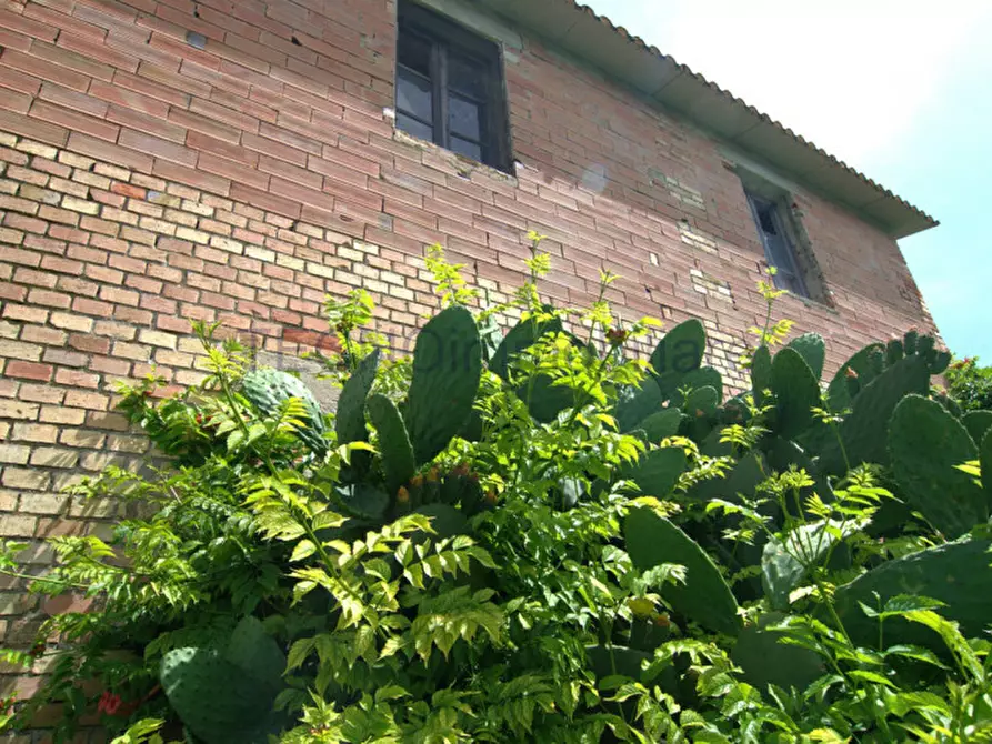 Immagine 46 di Casa indipendente in vendita  in VOCABOLO VIGNACCIO a Marsciano