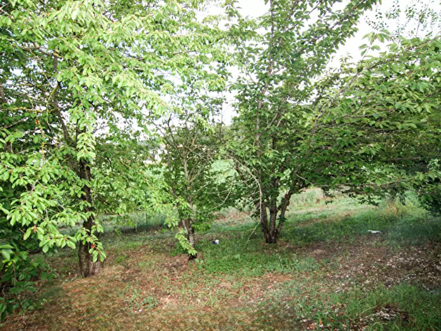 Immagine 27 di Villa in vendita  a Collazzone