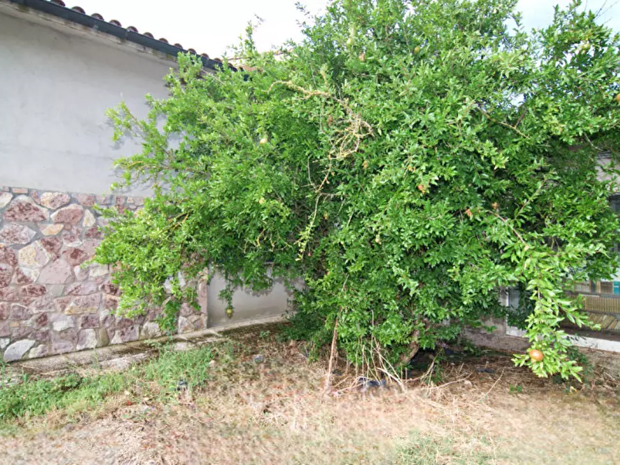 Immagine 28 di Villa in vendita  a Collazzone