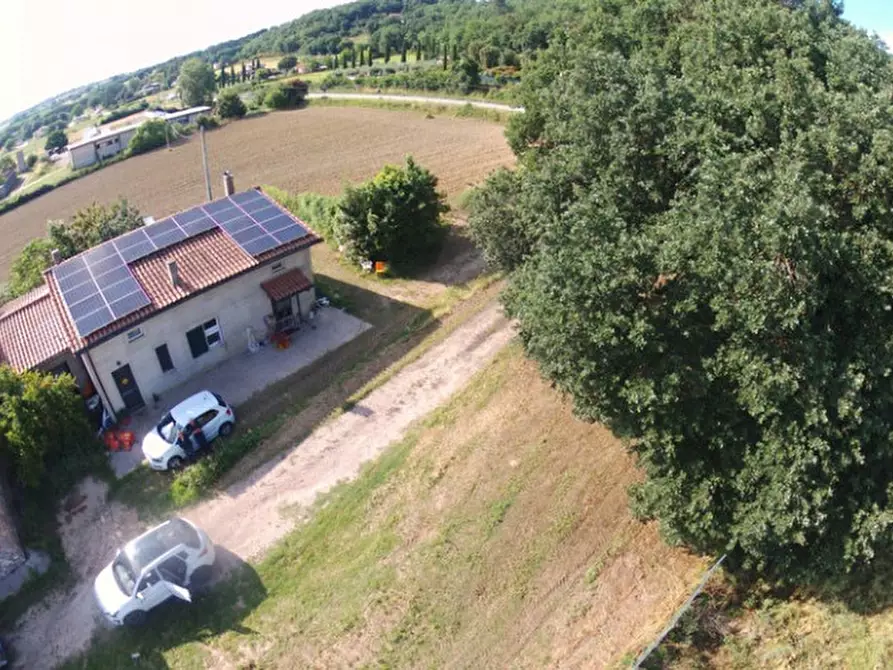 Immagine 33 di Villa in vendita  a Collazzone