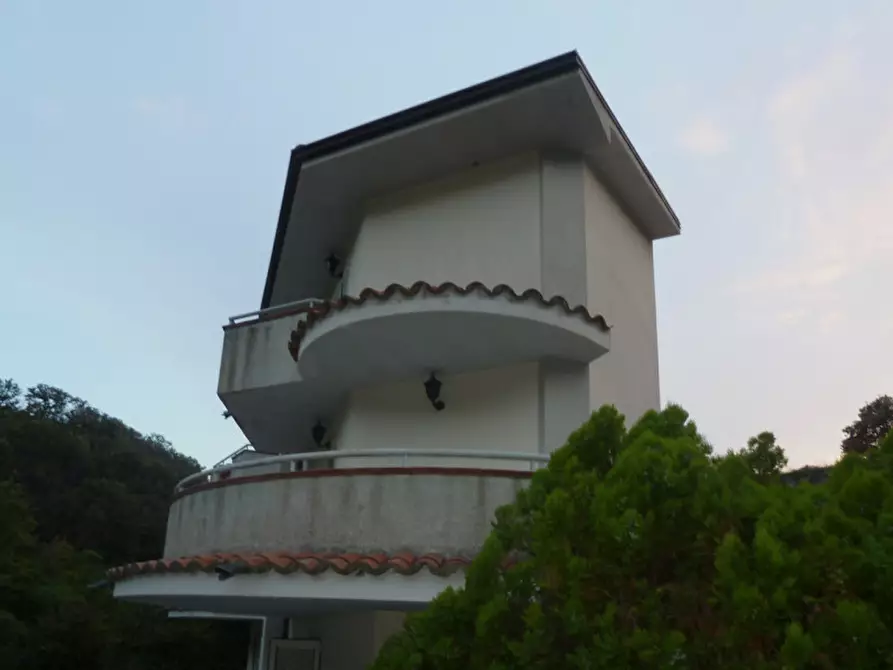 Immagine 5 di Casa indipendente in vendita  in VIA SAN FRANCESCO, sn a Sangineto