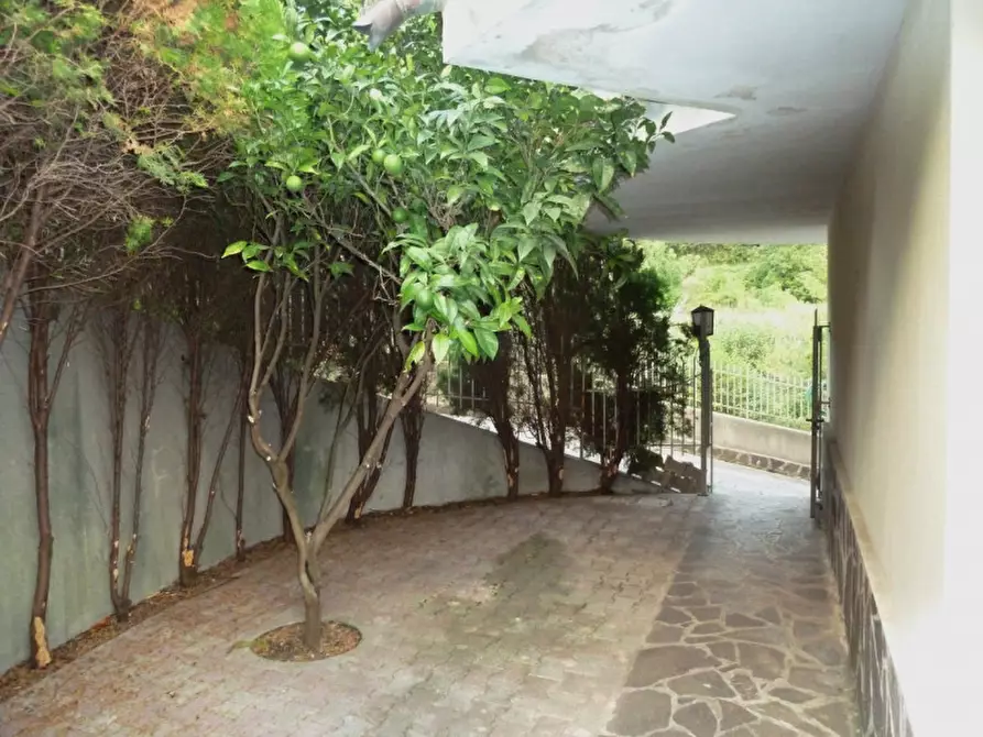 Immagine 10 di Casa indipendente in vendita  in VIA SAN FRANCESCO, sn a Sangineto