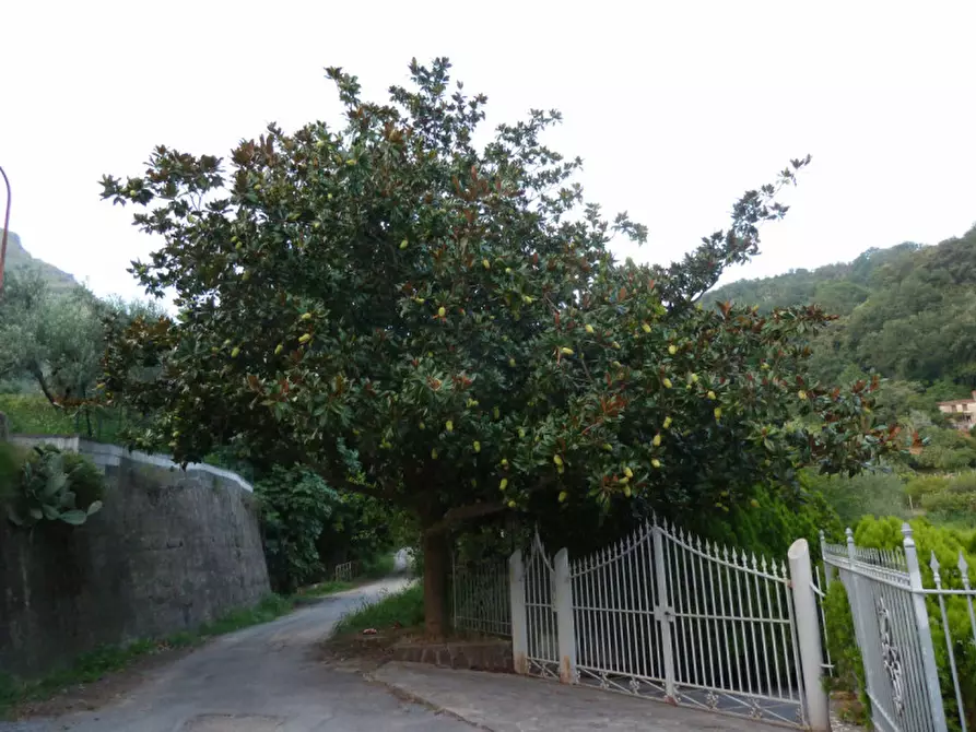 Immagine 11 di Casa indipendente in vendita  in VIA SAN FRANCESCO, sn a Sangineto