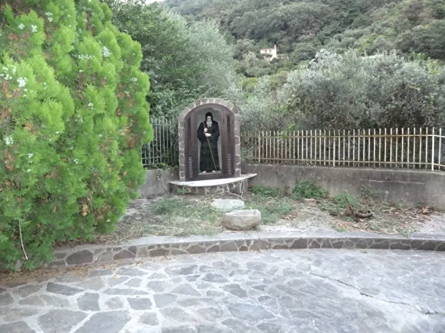 Immagine 13 di Casa indipendente in vendita  in VIA SAN FRANCESCO, sn a Sangineto