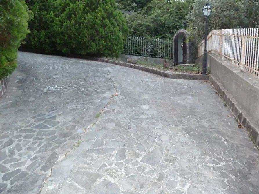 Immagine 15 di Casa indipendente in vendita  in VIA SAN FRANCESCO, sn a Sangineto