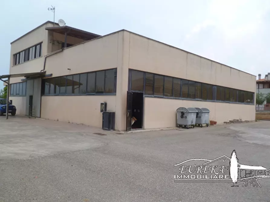 Immagine 3 di Capannone industriale in vendita  in via della sapienza sant'arcangelo a Magione