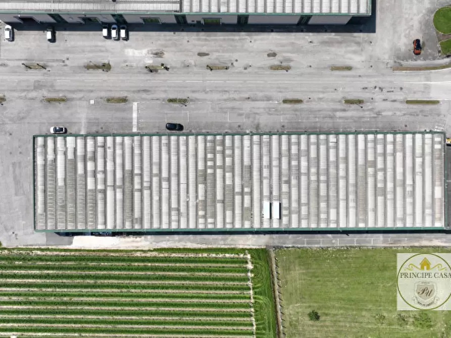 Immagine 5 di Capannone industriale in vendita  in via correr a Casale Di Scodosia