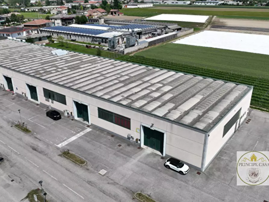 Immagine 7 di Capannone industriale in vendita  in via correr a Casale Di Scodosia