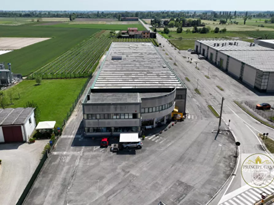 Immagine 20 di Capannone industriale in vendita  in via correr a Casale Di Scodosia