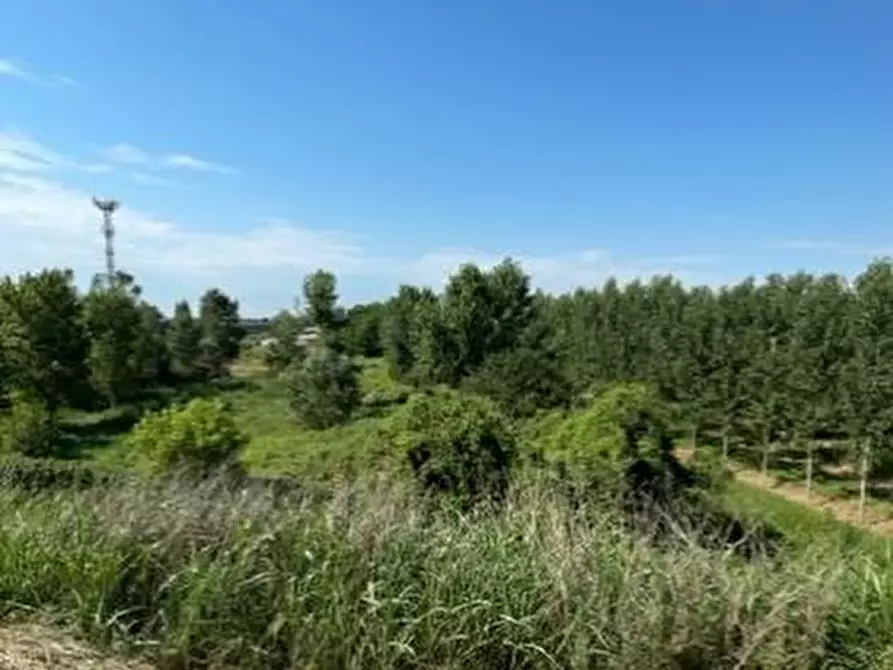 Immagine 1 di Terreno in vendita  in VIA ACHILLE GRANDI a Borgo Mantovano