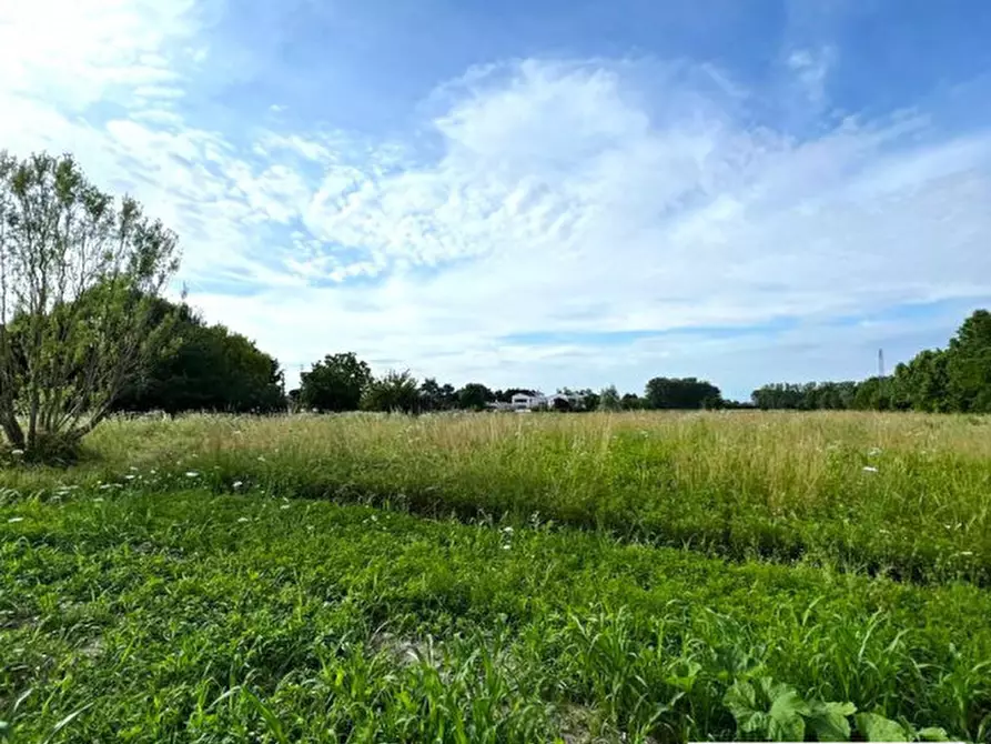 Immagine 1 di Terreno in vendita  in Via Capeleo a Stra