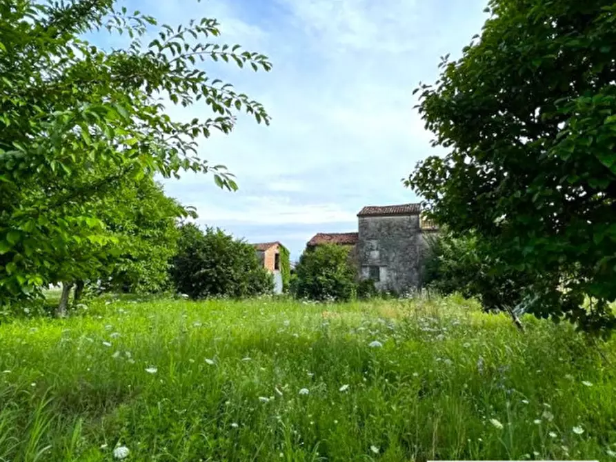 Immagine 5 di Terreno in vendita  in Via Capeleo a Stra