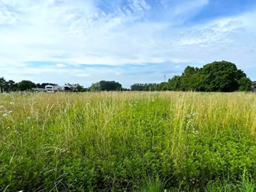Immagine 6 di Terreno in vendita  in Via Capeleo a Stra