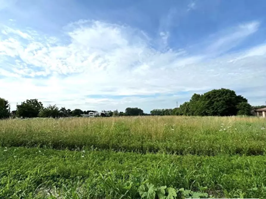 Immagine 7 di Terreno in vendita  in Via Capeleo a Stra