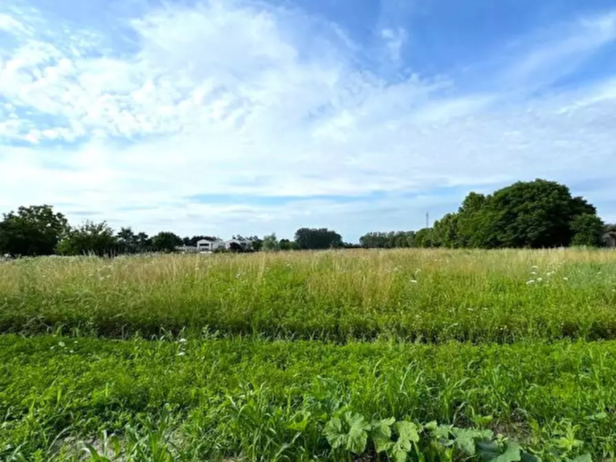 Immagine 9 di Terreno in vendita  in Via Capeleo a Stra
