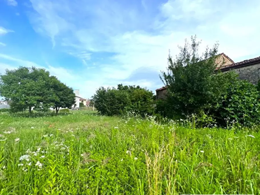 Immagine 10 di Terreno in vendita  in Via Capeleo a Stra