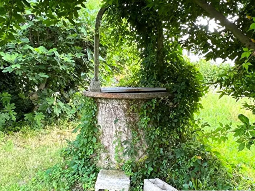 Immagine 13 di Terreno in vendita  in Via Capeleo a Stra