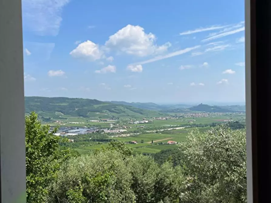 Immagine 3 di Villa in vendita  a Tregnago