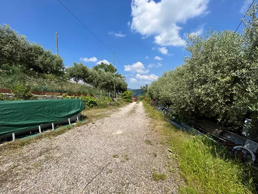 Immagine 16 di Villa in vendita  a Tregnago