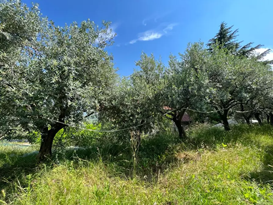Immagine 20 di Villa in vendita  a Tregnago
