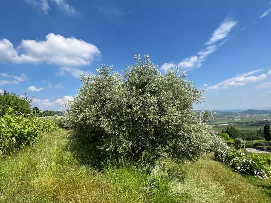 Immagine 21 di Villa in vendita  a Tregnago