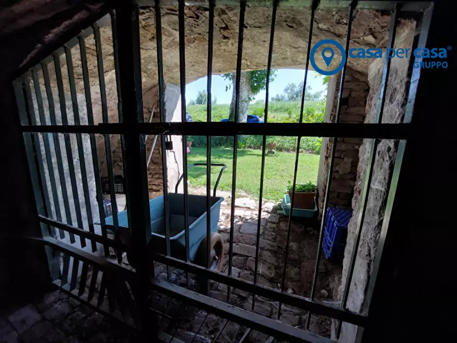 Immagine 38 di Casa indipendente in vendita  in Villanova Marchesana, Via Argine Po a Villanova Marchesana