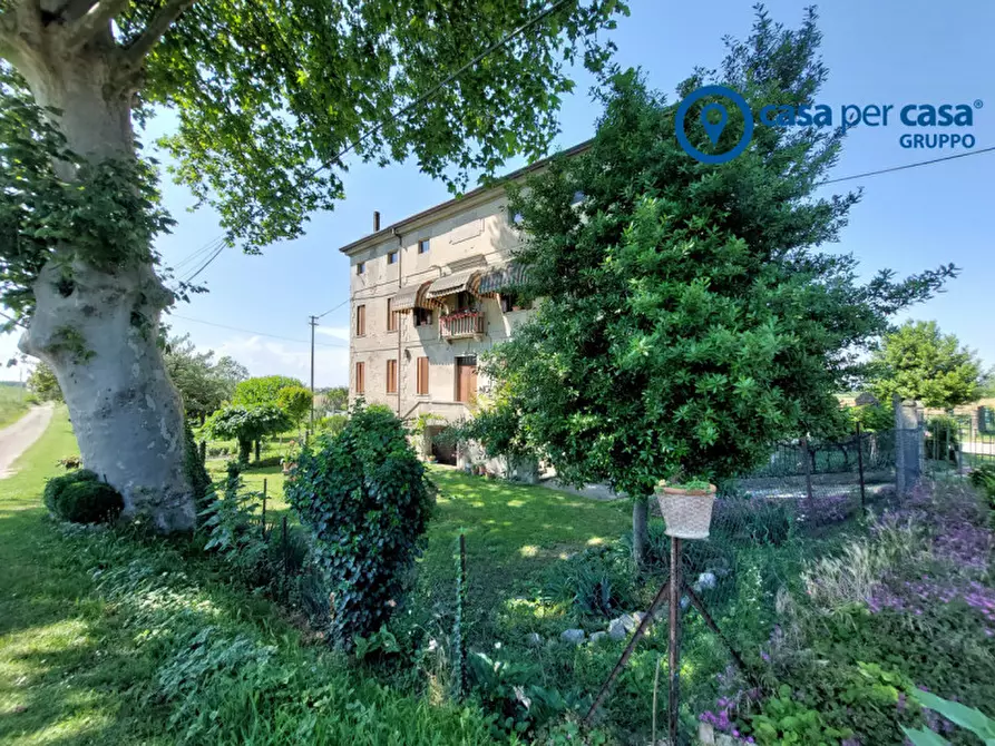 Immagine 46 di Casa indipendente in vendita  in Villanova Marchesana, Via Argine Po a Villanova Marchesana