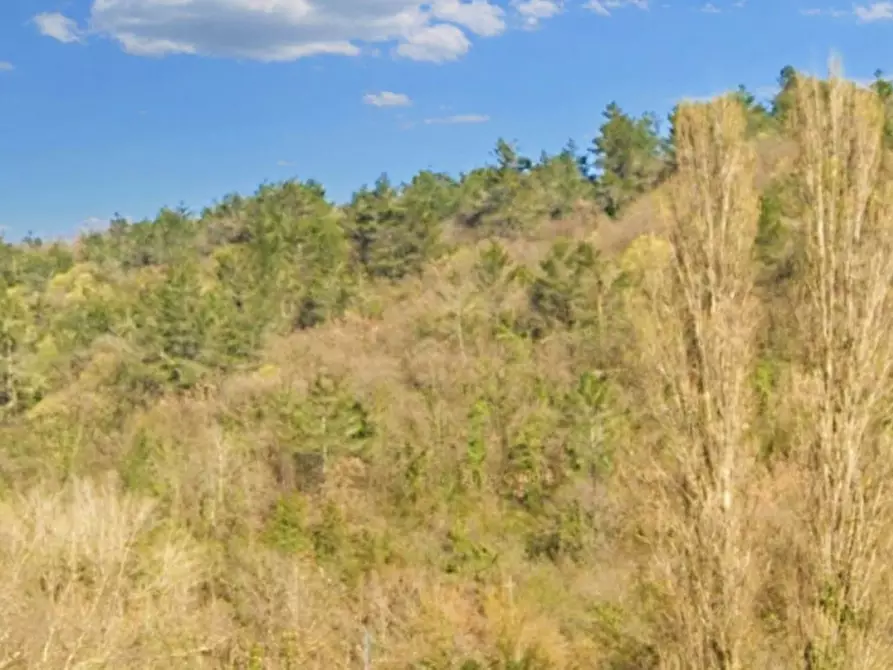 Immagine 2 di Casa indipendente in vendita  in Via Roma, N. 7 a Salaparuta