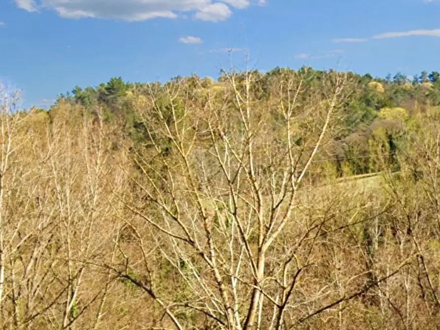 Immagine 4 di Casa indipendente in vendita  in Via Roma, N. 7 a Salaparuta