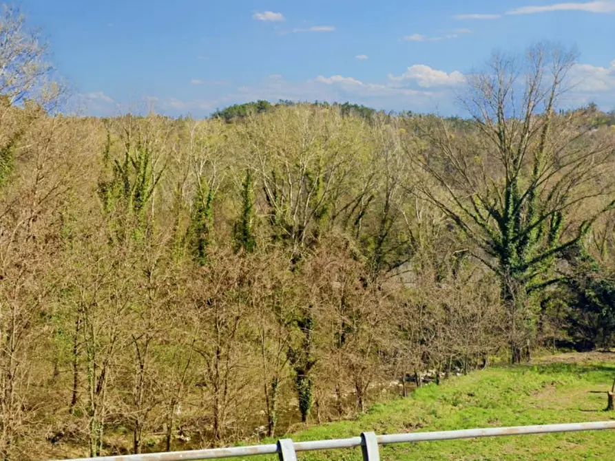 Immagine 6 di Casa indipendente in vendita  in Via Roma, N. 7 a Salaparuta