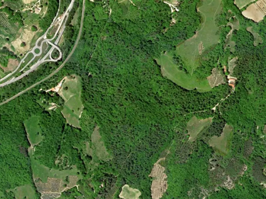 Immagine 10 di Casa indipendente in vendita  in Via Roma, N. 7 a Salaparuta