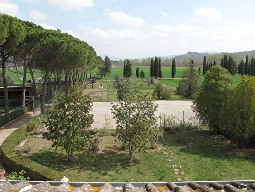 Immagine 31 di Villa in vendita  in via dei molini a Magione