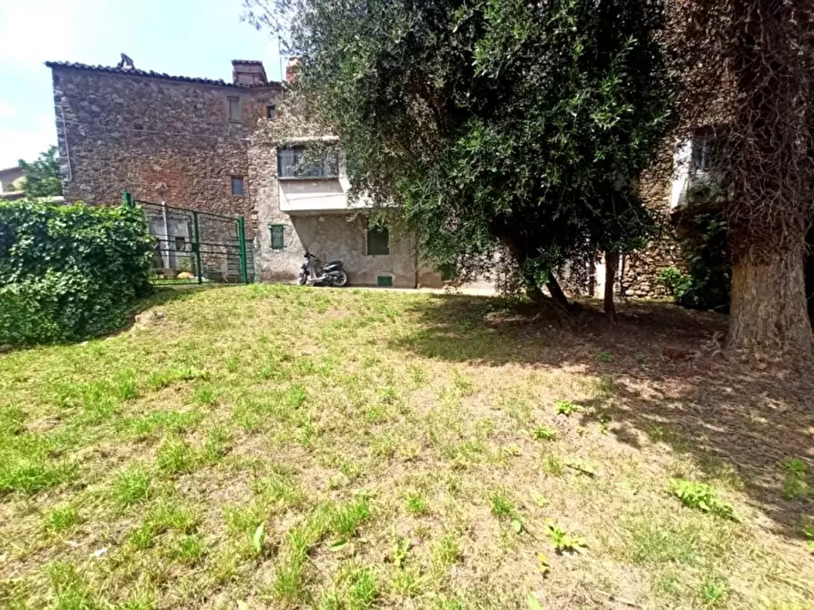 Immagine 22 di Palazzo in vendita  a Ficulle