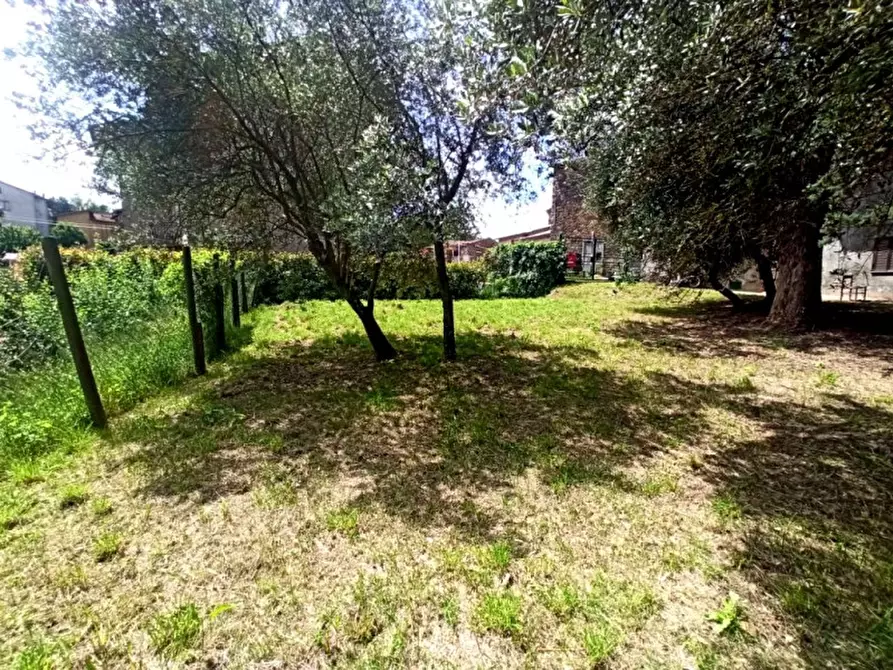 Immagine 23 di Palazzo in vendita  a Ficulle