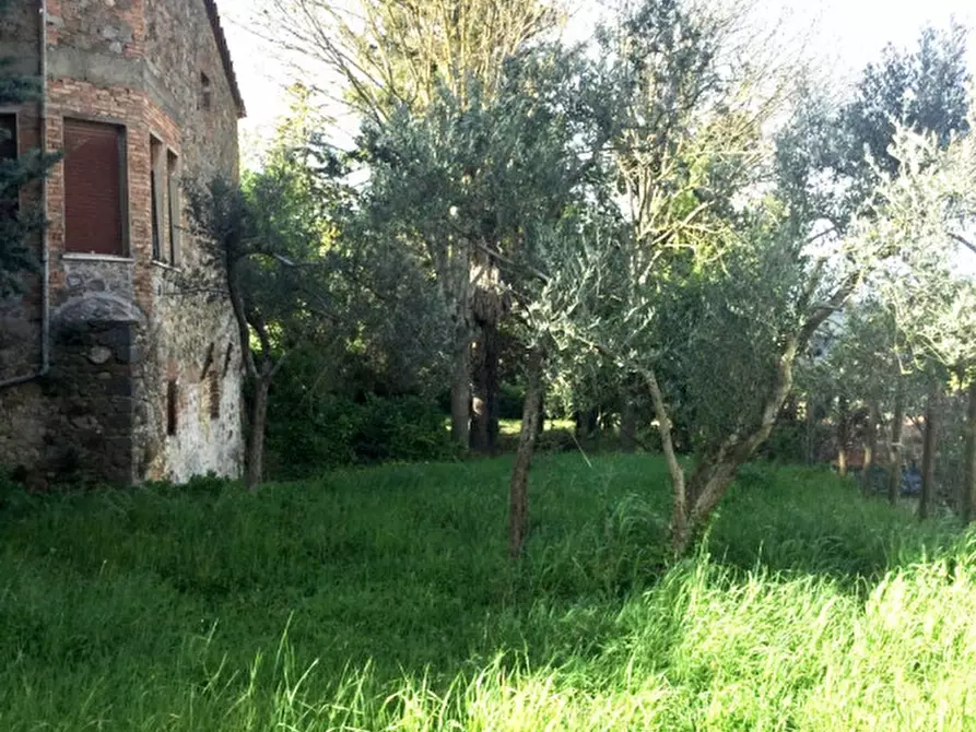 Immagine 24 di Palazzo in vendita  a Ficulle