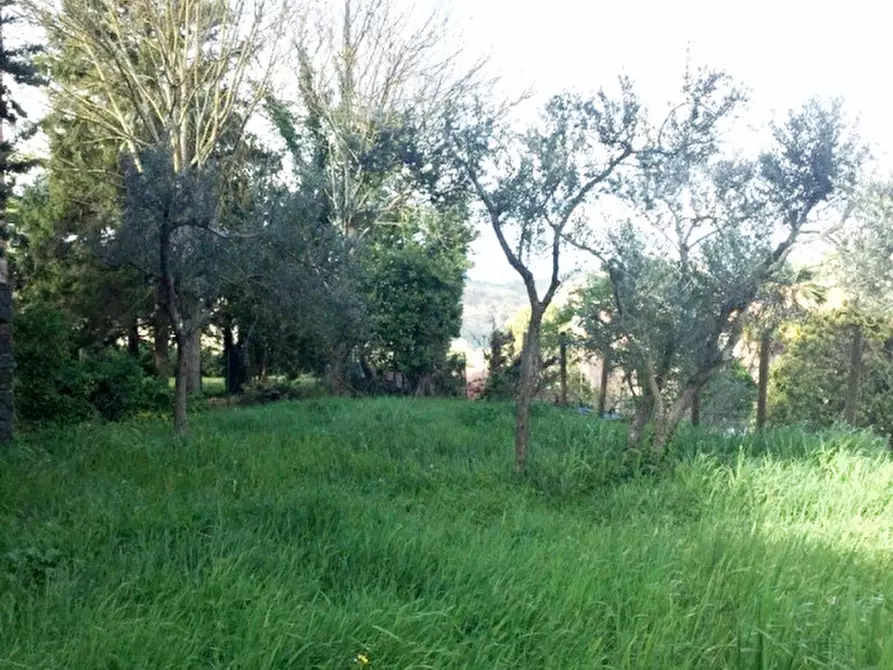 Immagine 25 di Palazzo in vendita  a Ficulle