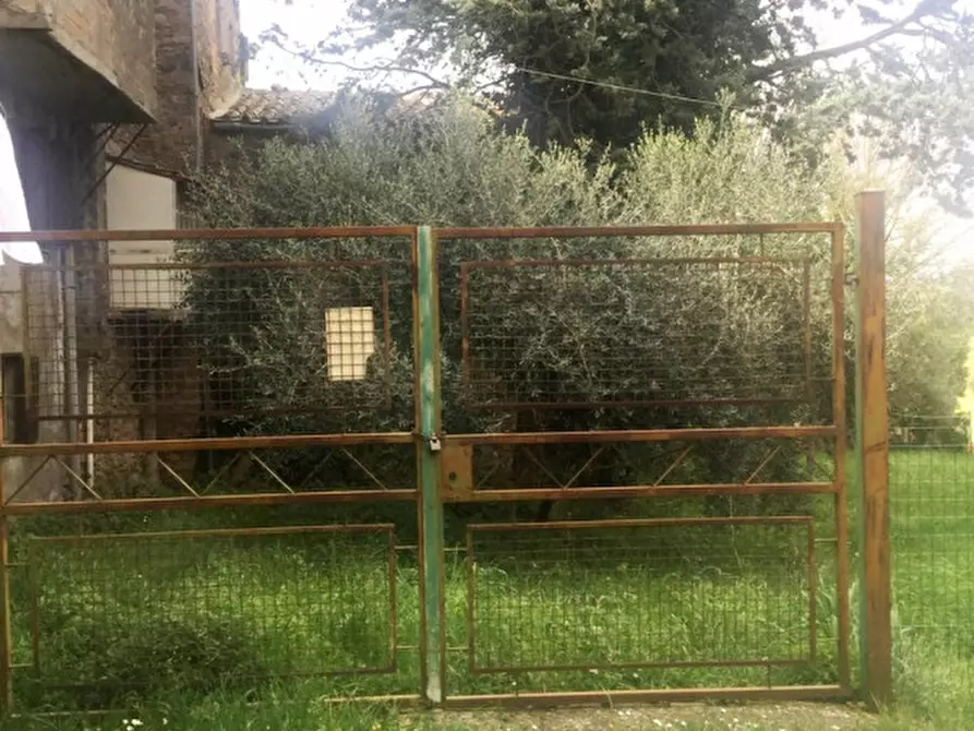 Immagine 26 di Palazzo in vendita  a Ficulle