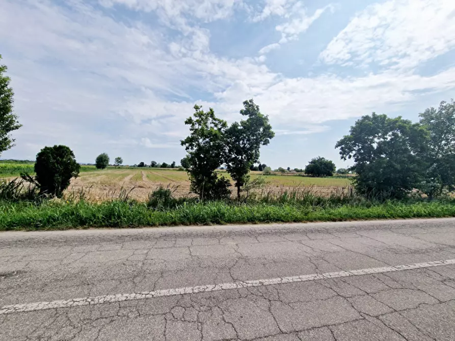 Immagine 5 di Terreno in vendita  in VIA PERAROLO a Merlara